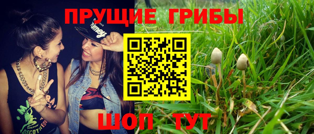 Галлюциногенные грибы прущие грибы Кизляр