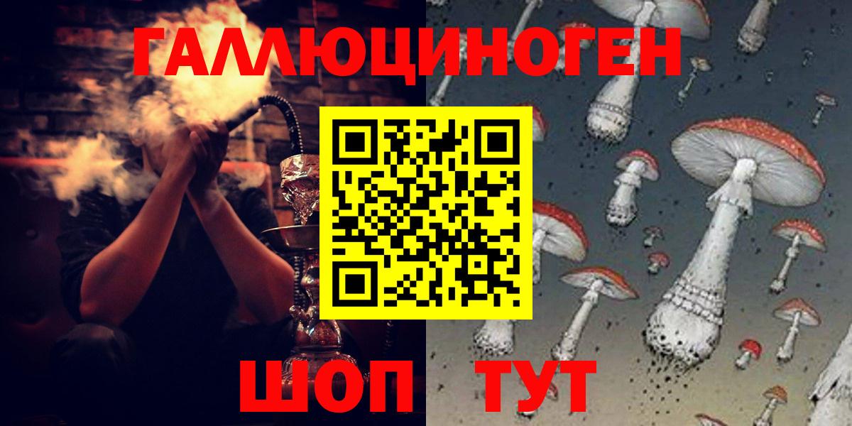 Кизляр  Галлюциногенные грибы Psilocybine cubensis  Вход с VPN 