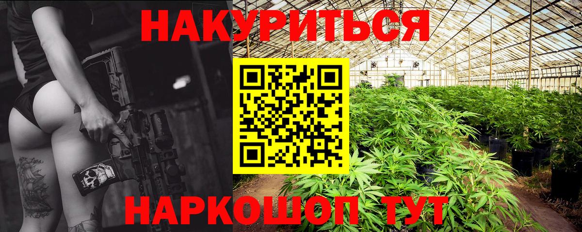 Канабис OG Kush Кизляр